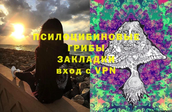 дурь Белоозёрский
