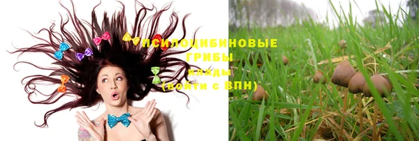 дурь Белоозёрский