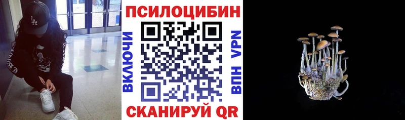 Галлюциногенные грибы Cubensis  Волгореченск 